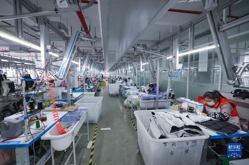 湖州童裝之都 以輔料制造為基石，從“做產品”到“創品牌”的產業升級之路