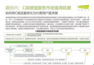 2019年中國教育信息化行業(yè)報告 信息技術(shù)咨詢服務(wù)